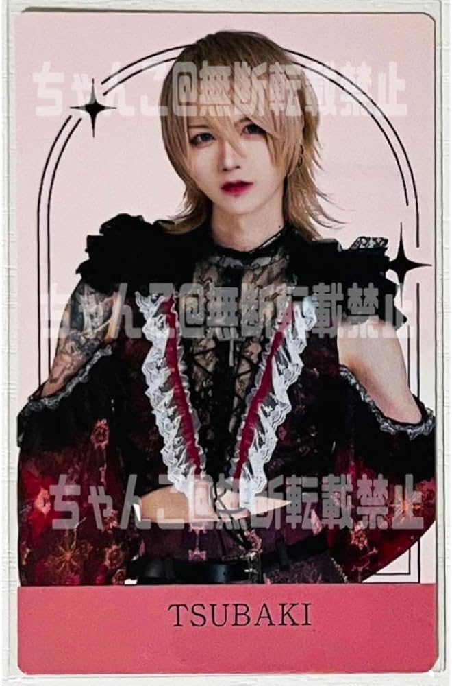 Amazon.co.jp: XP!Aクロスピアつばきランダムフォトカード① : おもちゃ