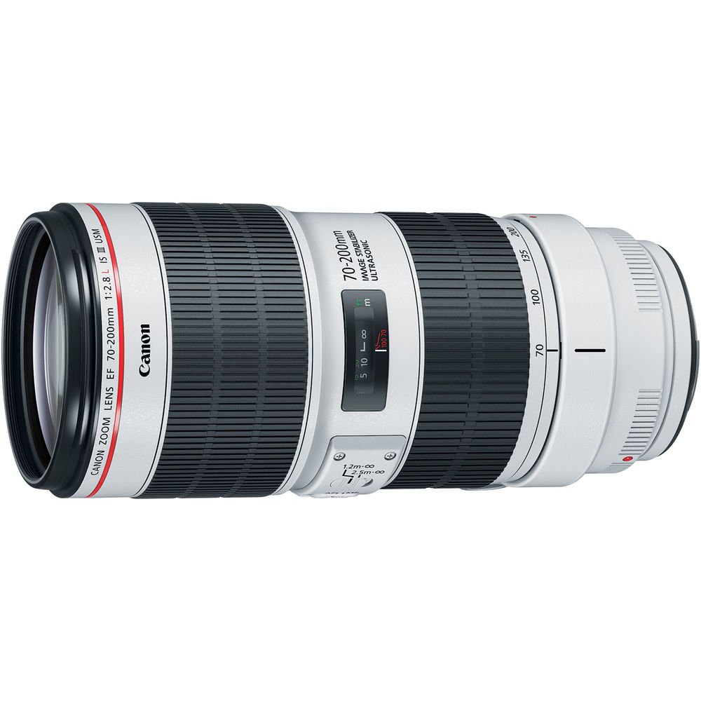 Amazon.com : Canon EF 70-200mm f2.8 L is III USM Telephoto Lens