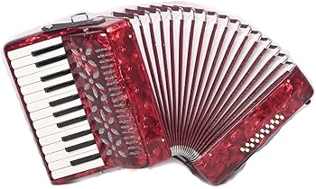 Amazon.co.jp: BailingDS アコーディオン 25キー 16ベース