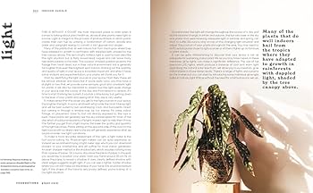 The Leaf Supply Guide to Creating Your Indoor Jungle: Camilleri