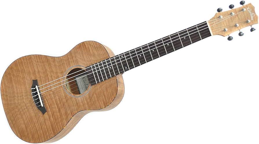 Amazon | CORDOBA (コルドバ) ミニクラシックギター（ミニガット