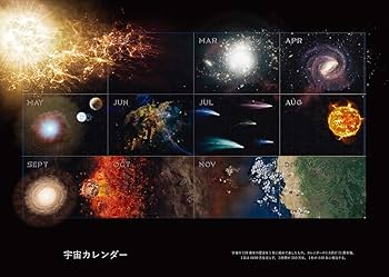 COSMOS コスモス いくつもの世界 | アン・ドルーヤン, 臼田-佐藤 功