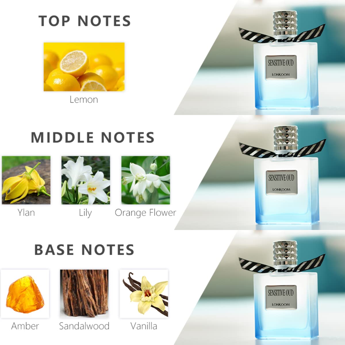 Amazon.com : Lonkoom Sensitive Oud - Fragrance for Men - Refined