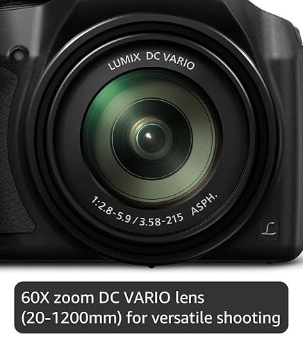 Amazon.com : Panasonic LUMIX 4K Digital Camera, 18.1 Megapixel