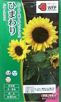 61MWS3foACL._AC_UF350,