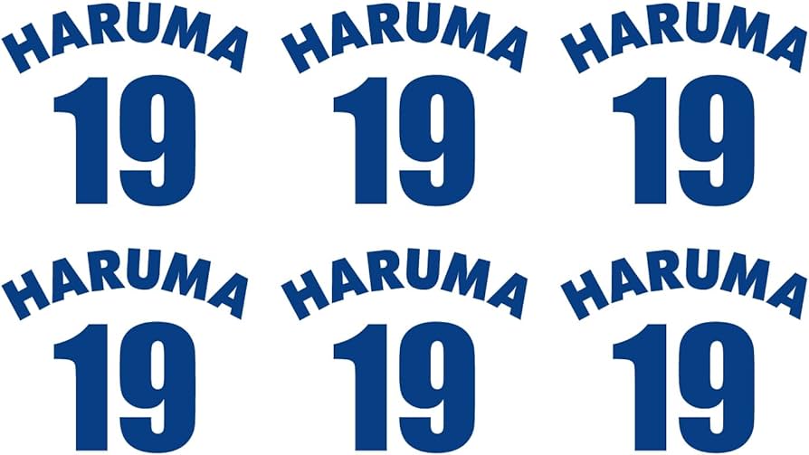 Amazon.co.jp: 背番号風お名前ステッカー (縦3cm×6枚セット