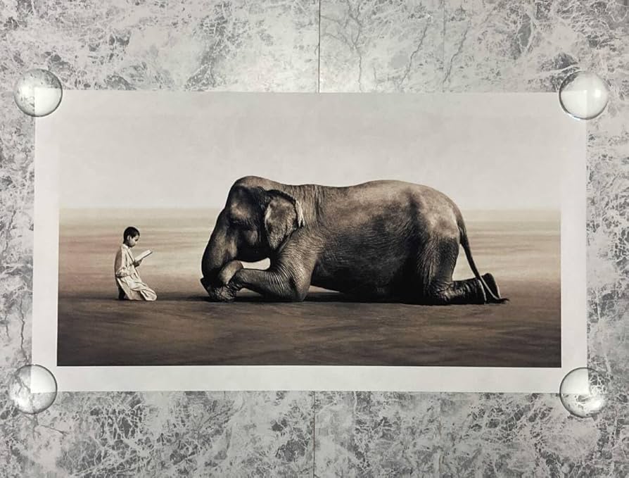 Amazon.co.jp: 「グレゴリー・コルベール/Ashes and Snow 少年と像