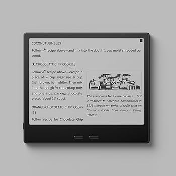 Amazon.co.jp: BOOX Go 7電子書籍リーダー 7インチ 白黒 64GB 300ppi