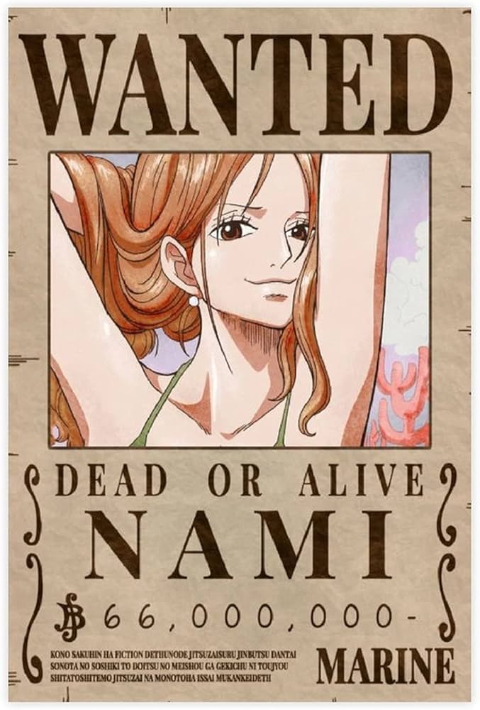 Amazon｜ワンピース ナミ バウンティ Wantedアニメポスター キャンバス