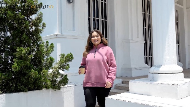 Chulianyouhuo Womens Plus Size Half Zip Pullover Long Sleeve