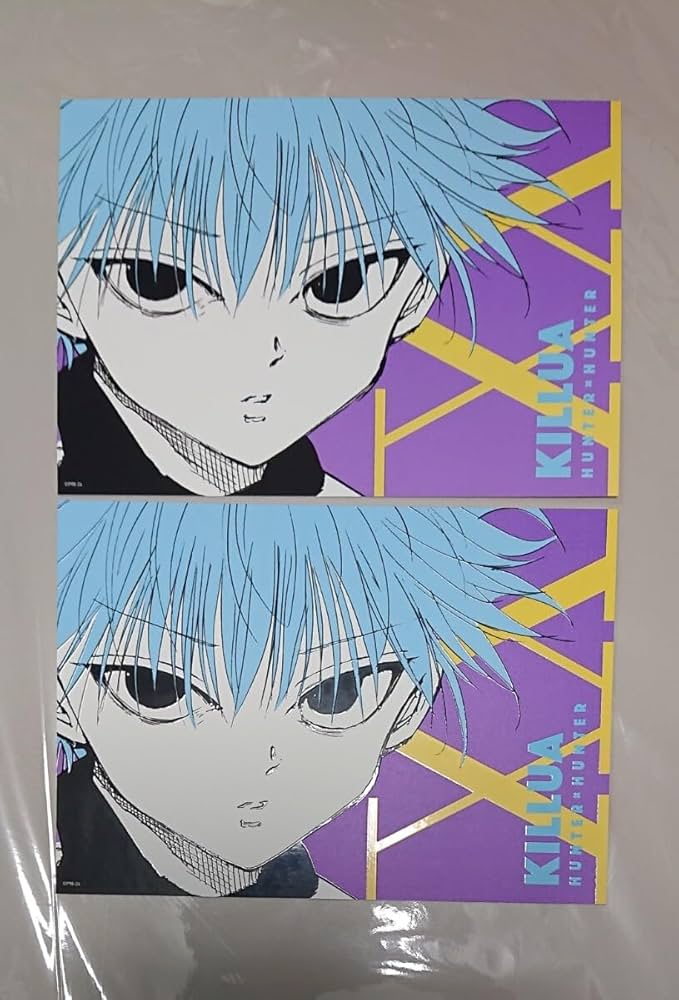 Amazon.co.jp: HUNTER×HUNTERアートカードコレクションキルア 2枚