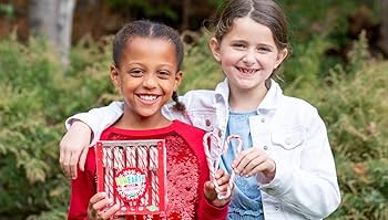 Amazon.com: YumEarth Organic Holiday Mini Candy Canes, 30 Count