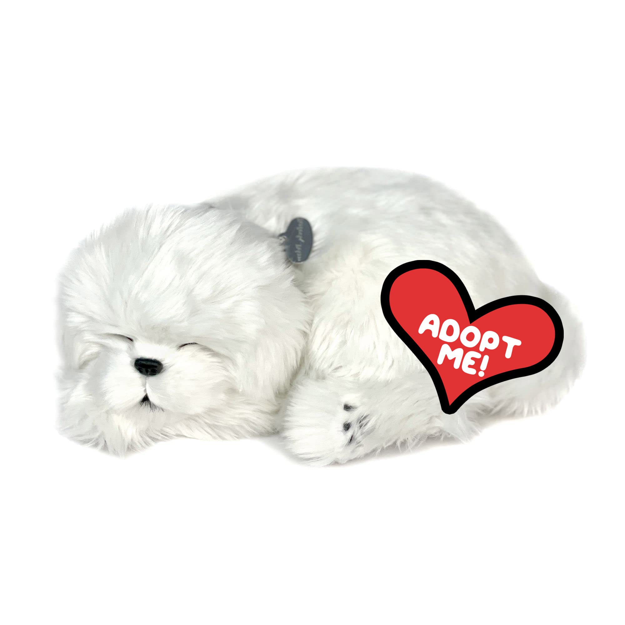 Amazon.com: Perfect Petzzz - Maltese, Dog Toys for Kids and