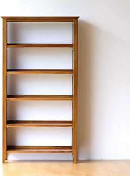 61OkJ79O4CL._AC_UF350,