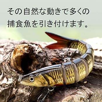 Amazon.co.jp: ビッグベイト ルアー ジグ セット リアルベイト