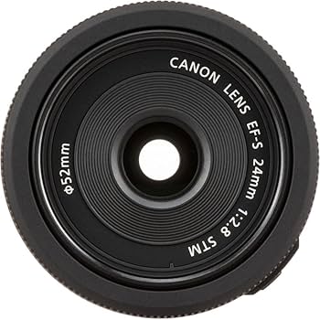 Amazon.com : Canon EF-S 24mm f/2.8 STM Lens (9522B002) + Filter