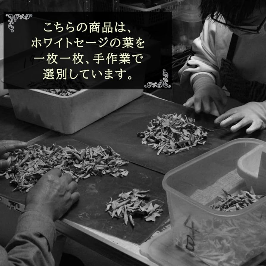 Amazon.co.jp: [GOLD STONE] ホワイトセージ 無農薬 カルフォルニア産