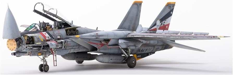 Amazon | アバンギャルドモデル 1/48 アメリカ海軍 F-14D スーパートム