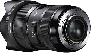 Amazon.com : Sigma 18-35mm F1.8 Art DC HSM Lens for Sony : Camera