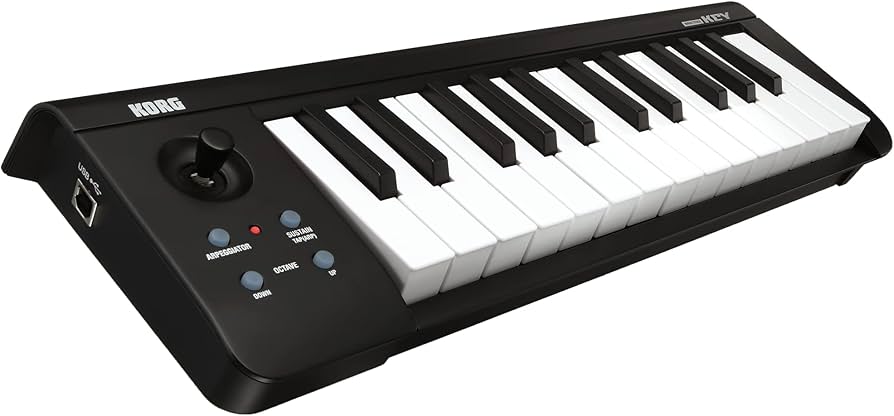 Amazon.com: Korg microKEY 25 USB MIDI Keyboard : Everything Else