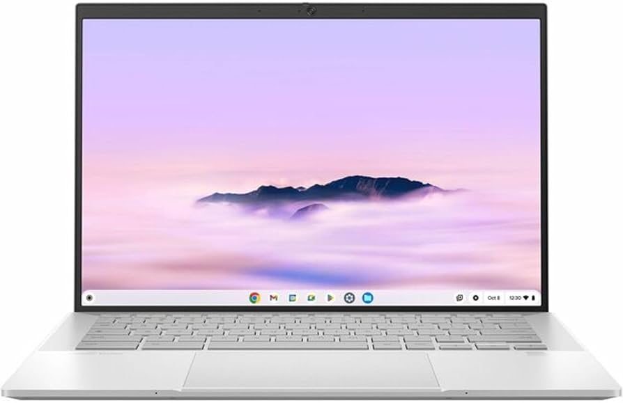 Amazon.com: ASUS ChromeBook Plus/SILVER/14.0 WQXGA(WQ) Non-Touch