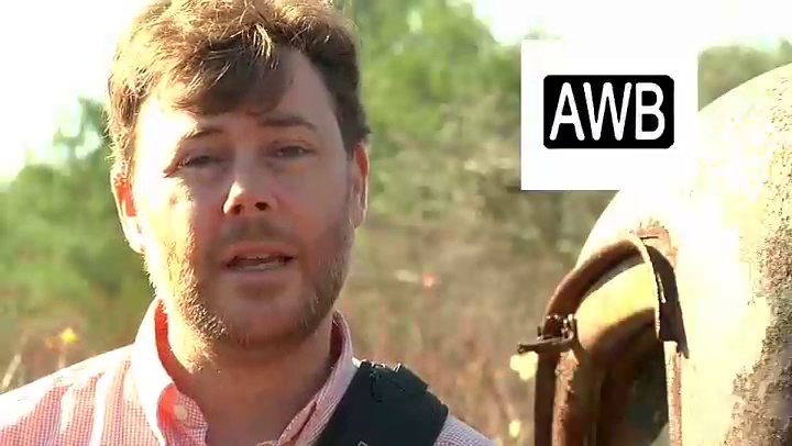 Amazon.com : Tamron AF 18-200mm f/3.5-6.3 XR Di II LD Aspherical