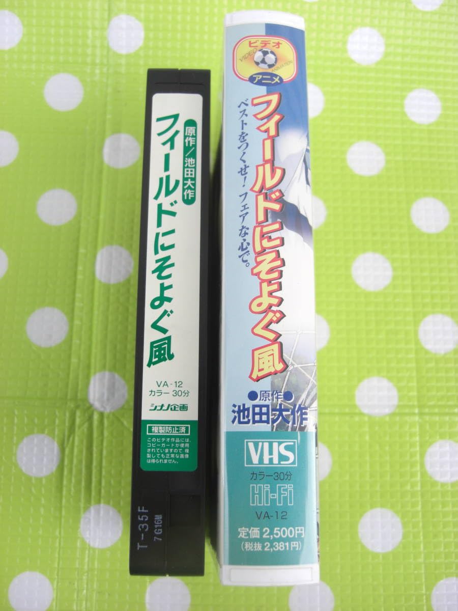 Amazon.co.jp: 〈歓迎〉VHS フィールドにそよぐ風 池田大作 創価学会