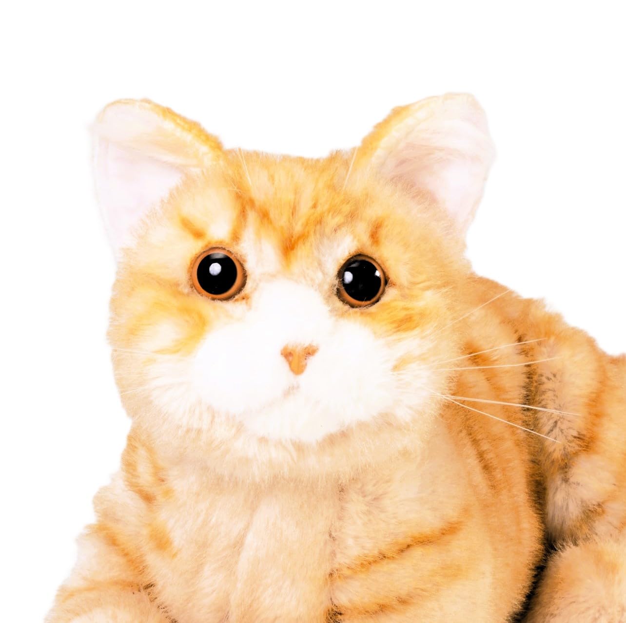 Amazon | トレンドマスター なでなでねこちゃんEX とら【撫でると鳴く