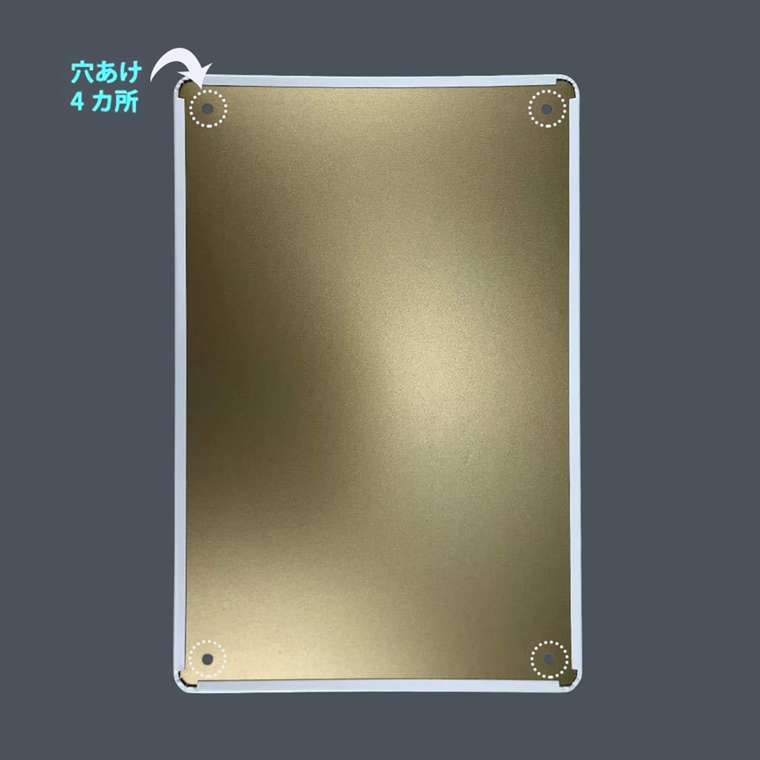 Amazon.co.jp: 【昭和レトロ百貨店】ブリキ看板 美空ひばり 金鳥