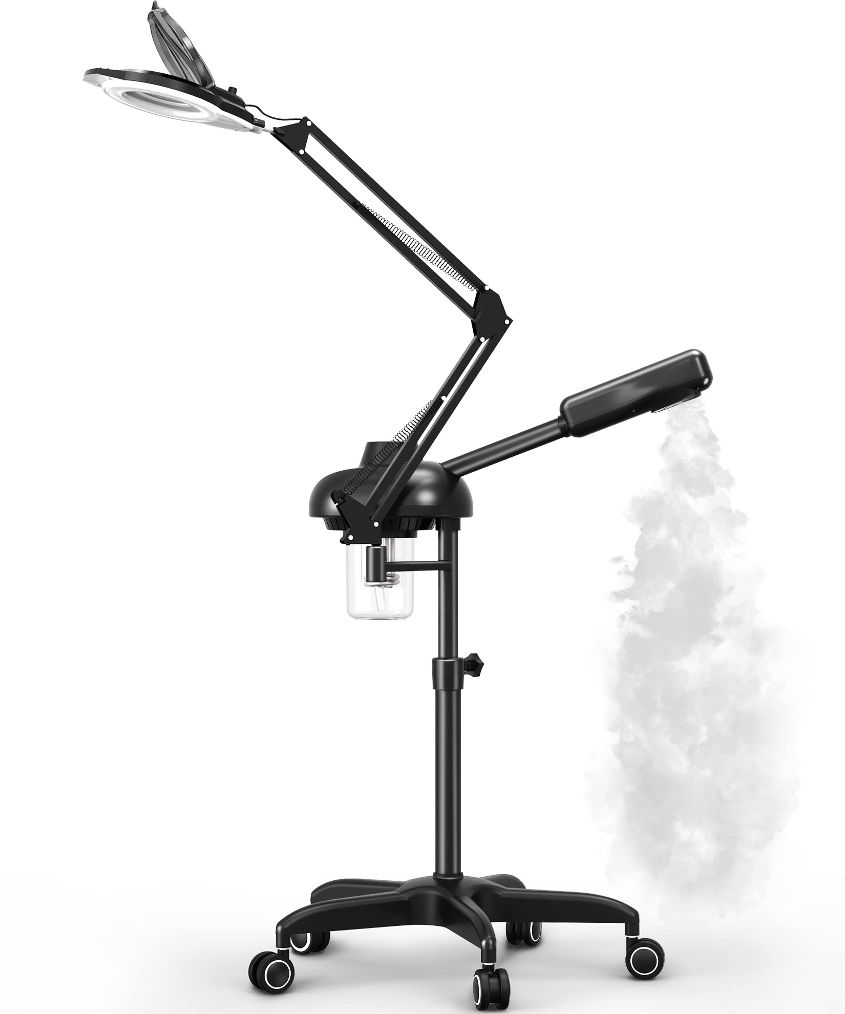 Amazon.com: TASALON 2-in-1 Professional Facial Steamer, Hot Ozone