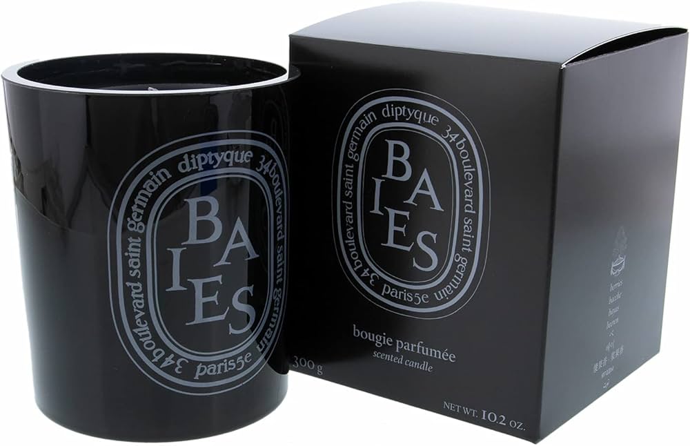 Diptyque Black Baies Candle-10.2 oz : Amazon.ca: Home