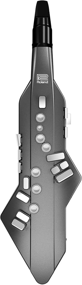 Amazon | Roland/AE-05 Aerophone GO エアロフォン Digital Wind