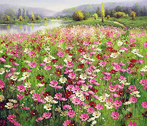 Amazon | 宮本直介 『コスモスの詩』 油絵・油彩画 F10(10号) | ノー