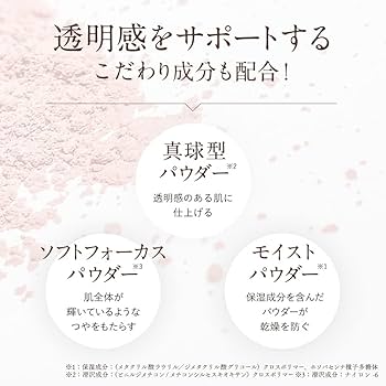 Amazon | トリニティーライン(TRINITYLINE) カラールースパウダー