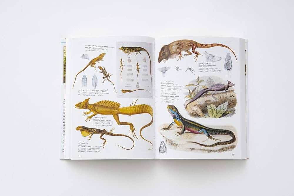 Amazon.co.jp: 普及版 世界大博物図鑑 3 両生・爬虫類 (3) : 荒俣 宏: 本