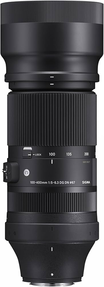 Amazon.com : 100-400mm F 5-6.3 DG DN OS for X Mount : Electronics
