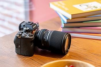 Amazon.co.jp: タムロン 28-300mm F/4-7.1 Di III VC VXD ソニーE