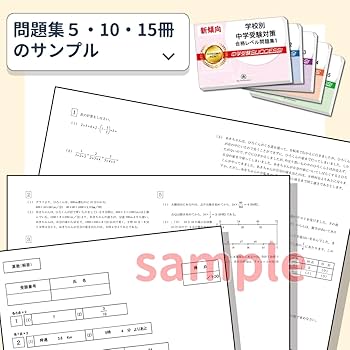 Amazon.co.jp: 2026 東京成徳大学中学校 受験 過去の傾向と対策 合格