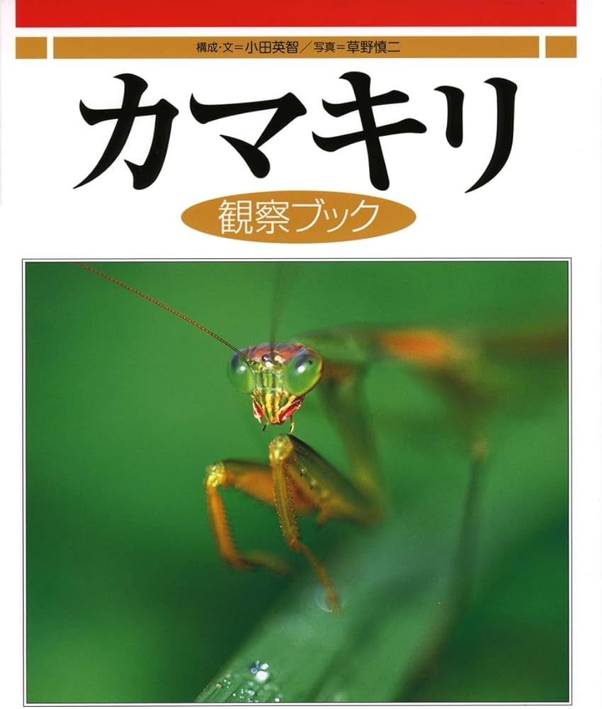 Amazon.co.jp: カマキリ観察ブック : 小田 英智, 草野 慎二: 本