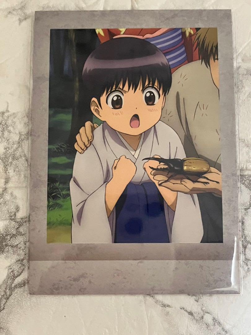 Amazon.co.jp: 銀魂 ぱしゃこれ 新八 幼少期 : ホビー