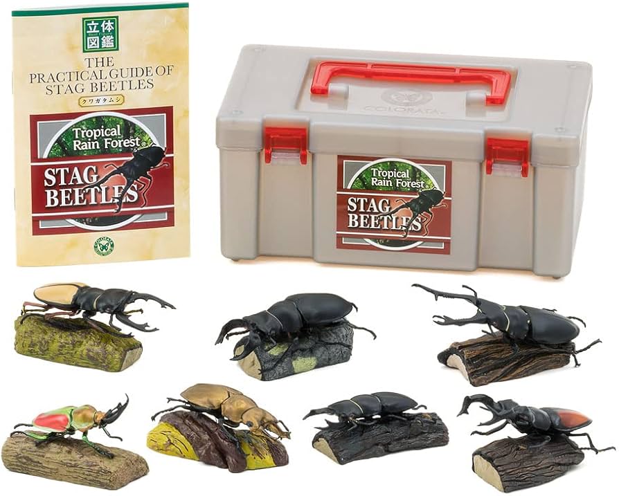 Amazon.co.jp: カロラータ クワガタムシ 立体図鑑 (7種 / 解説書付き