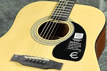 Amazon | Epiphone アコースティックギター DR-100 NA エピフォン