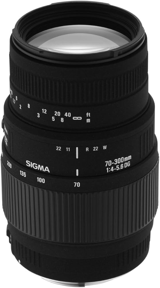 Sigma 70-300mm F4-5.6 DL Macro Super Lens for Minolta-AF Camera