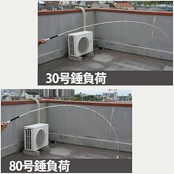 Amazon | 超軟調ムーチング真鯛 GokuEvolution サモトラケ280 (30-100