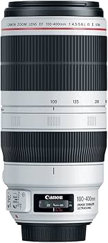 Amazon.com : Canon EF 100-400mm f/4.5-5.6L is II USM Lens