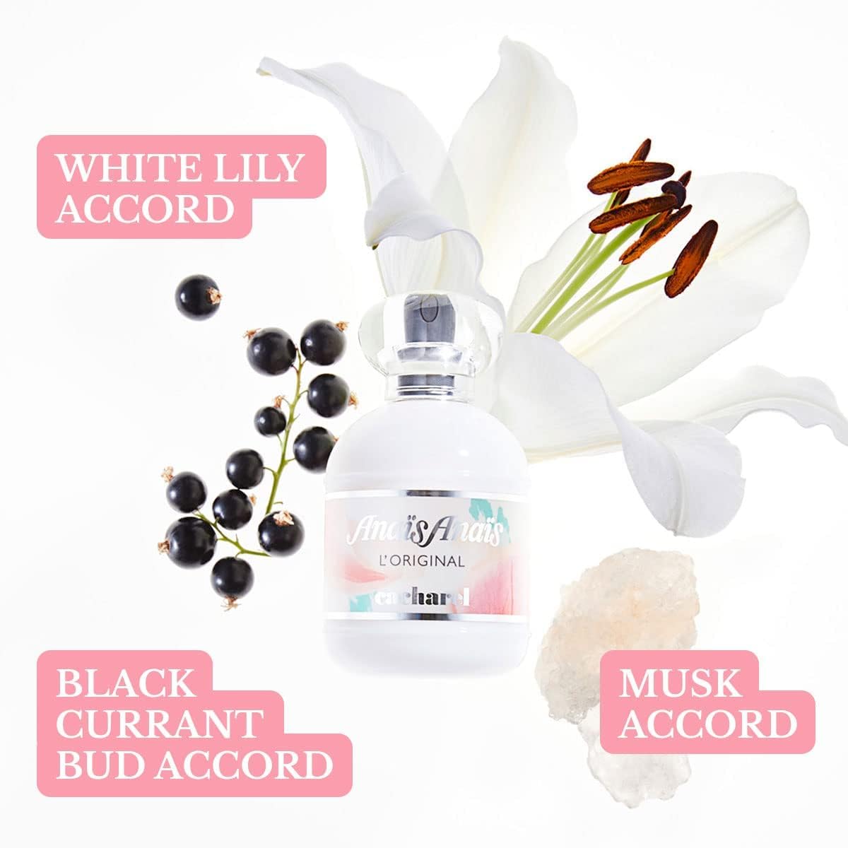 Amazon | キャシャレル アナイスアナイスEDT 50ml [並行輸入品