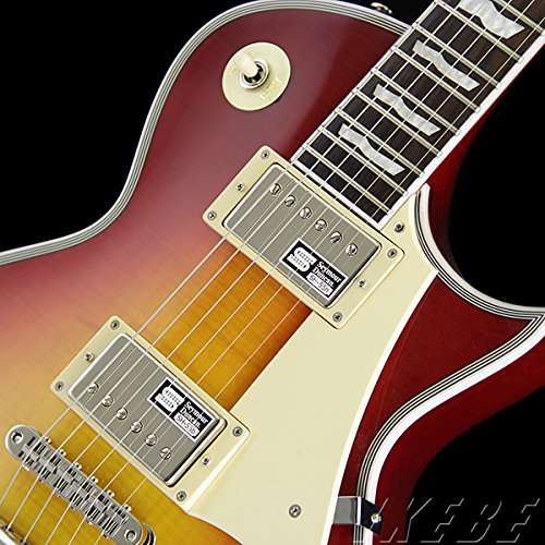 ギター EDWARDS E-RODEO DECADE エレキギター】GRANRODEOのデビュー10