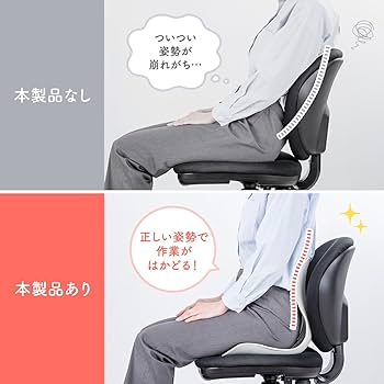 Amazon.co.jp: イーサプライ 姿勢矯正 椅子 サポートクッション 腰痛