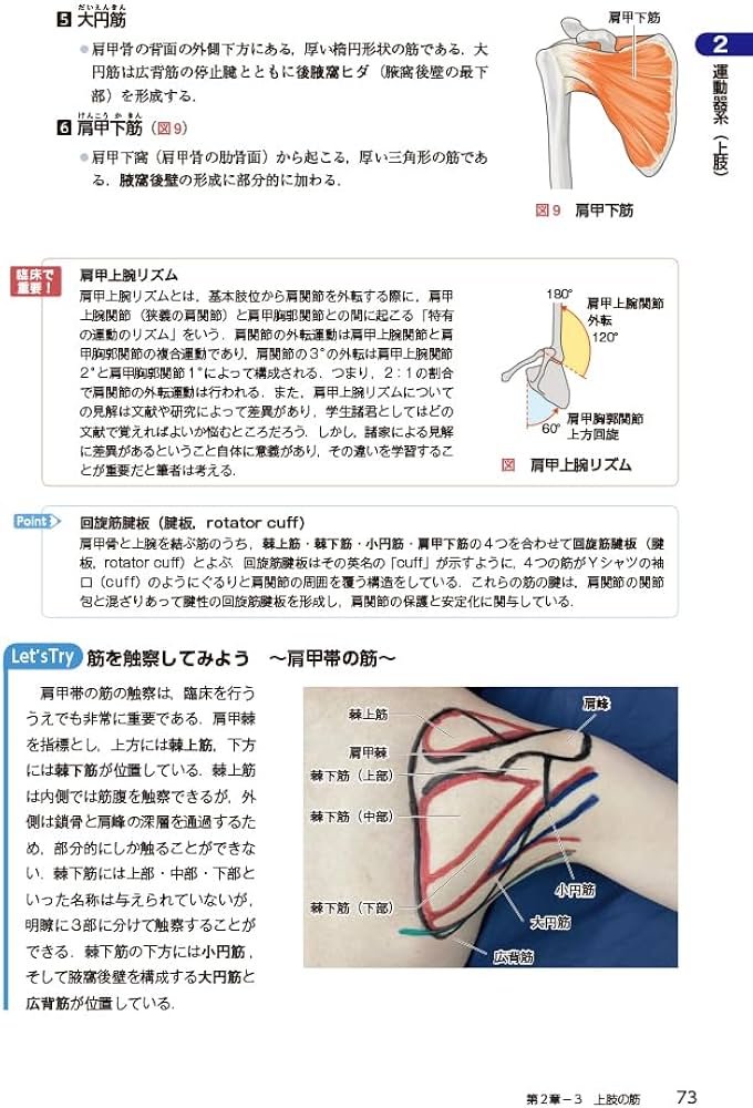 解剖学 第2版 (PT・OTビジュアルテキスト専門基礎) | 町田 志樹, 坂井