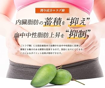 Amazon | 亀山堂 ワイルドマンゴーの力A 機能性表示食品 30日分60粒